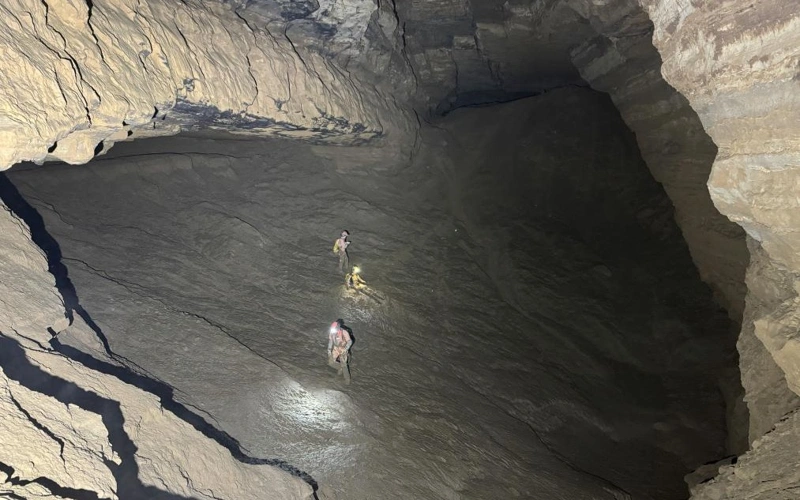 52 giant panda fossils found in Asia's longest cave