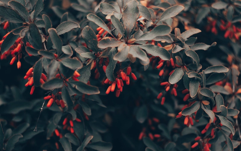 Штормовое предупреждение объявили в Казахстане на 28 октября