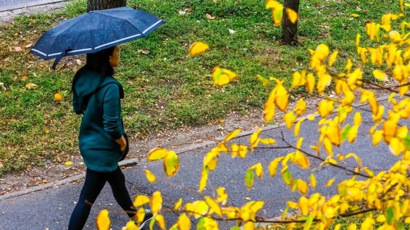 Rain and strong wind to hit Kazakhstan in 3 days coming