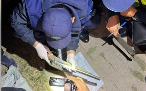 оружие ДП Туркестан 