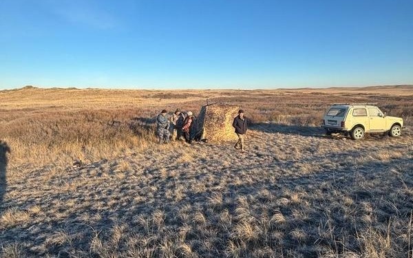 Авиамониторинг: в Карагандинской области считают архаров, косуль и сайгаков дикие животные