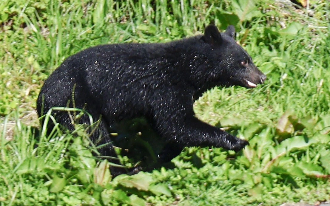 Порно: Жезөкшедегі 100 Ер - Хардкор онлайн Атақтылардың секс видеолары