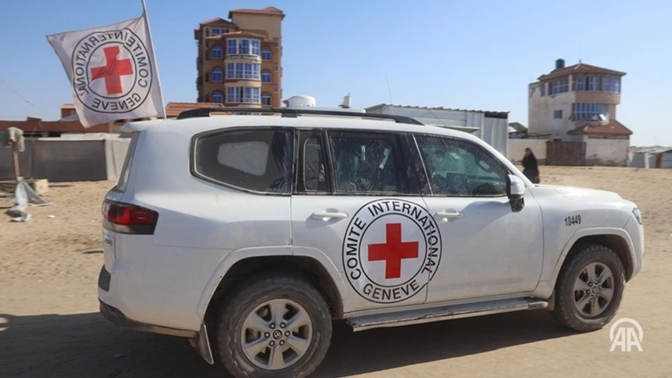 Үлкен қынаптар пискадан ішеді (фото)