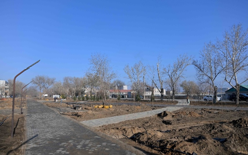 область абай