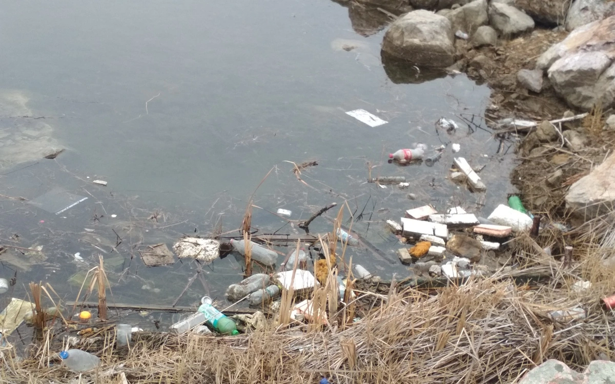 Қынапты жалау порно