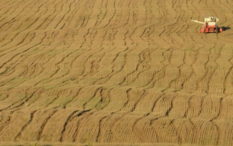 Mongolia joins FAO effort to improve soil mapping for farmland