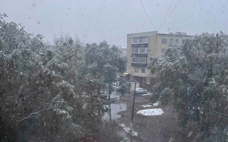 Жаңбыр, қар, көктайғақ: 2 қарашаға арналған ауа райы болжамы