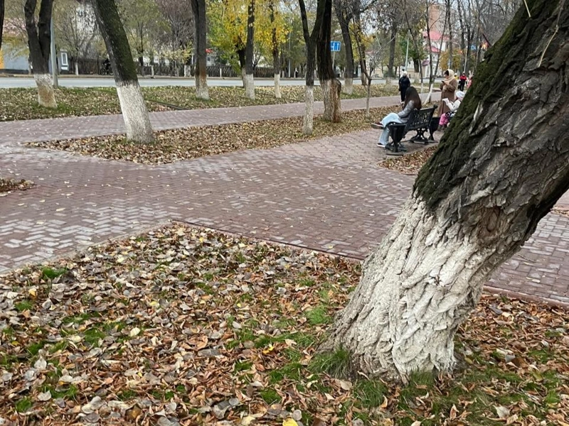 Азербайжан порно секс