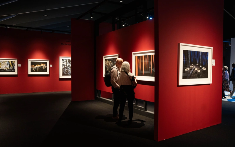 Xposure Awards 2026 attract 29,000 photography, 634 film entries