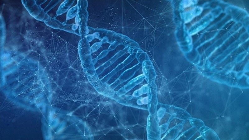 Scientists create cutting-edge DNA tool to predict a person’s age, origin