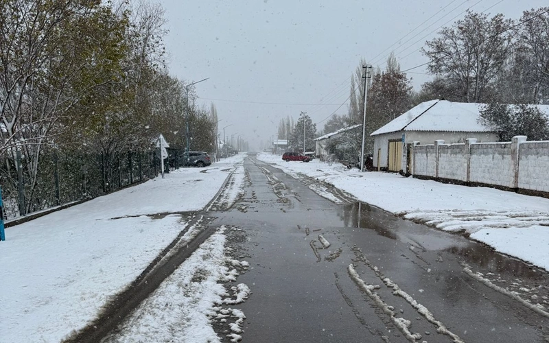 Первый снег выпал в Туркестанской области