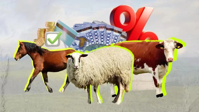 чорвачилик моллари