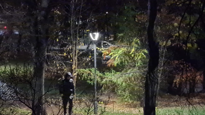 Алматыда алғашқы қар жауып жатыр Алматыда алғашқы қар жауып жатыр