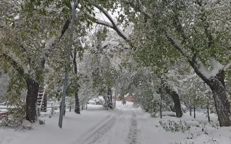 Kazakhstan to brace for heavy snow and high wind