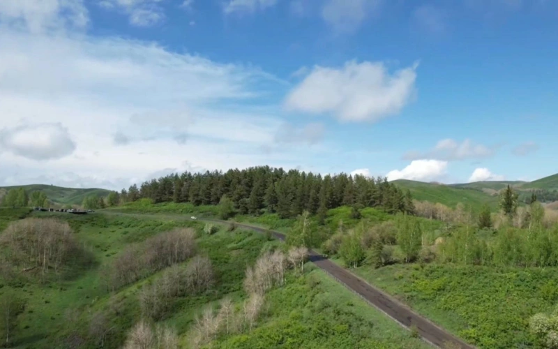 В Восточно-Казахстанской области временно ограничат движение грузовиков
