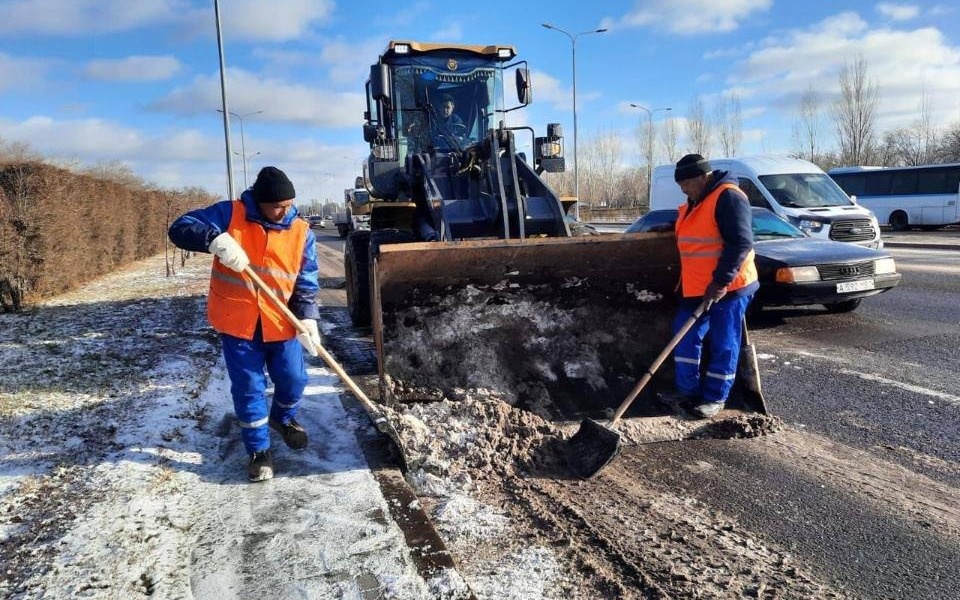 Кемпір сперматозоидпен толтырылған