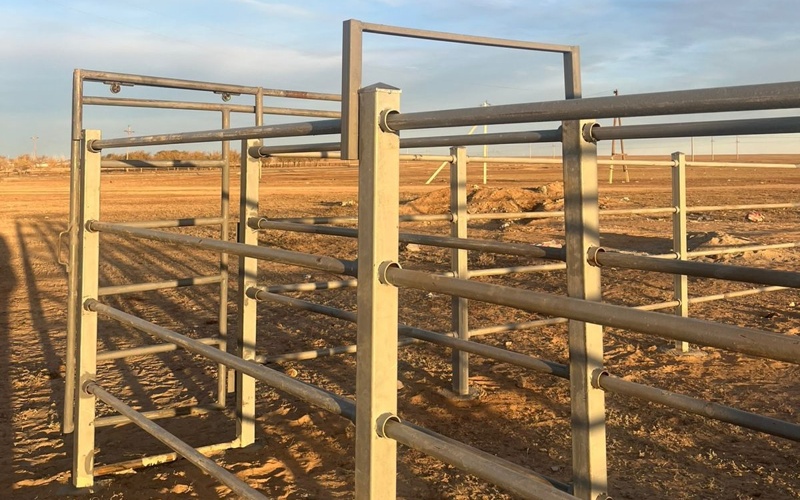 Ұлытау облысының Түгіскен ауылында жаңа ветеринариялық пункт ашылды 