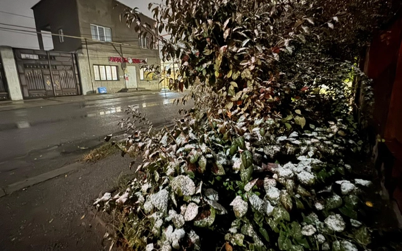 Первый снег выпал в Шымкенте