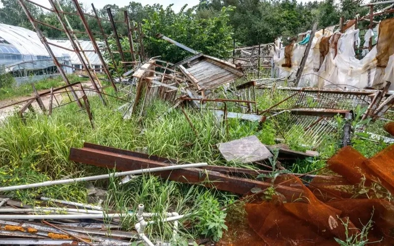 Редкие растения могут не пережить зиму в оранжерее ботсада Алматы