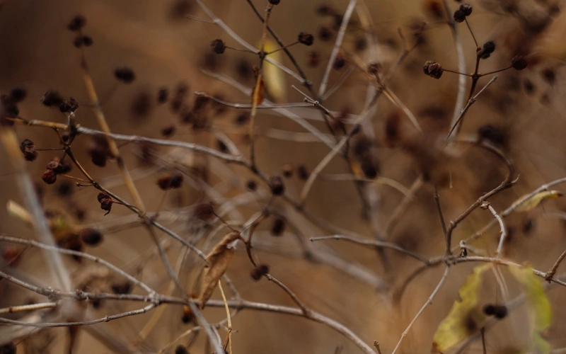 Штормовое предупреждение объявили в 14 регионах Казахстана