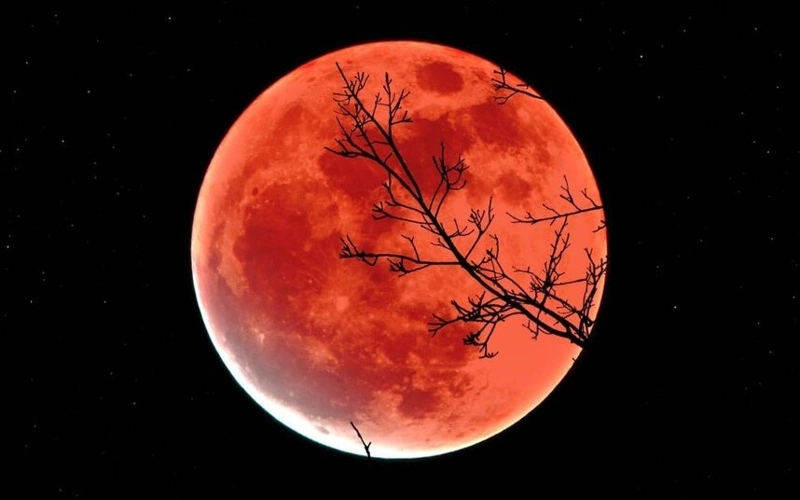 Ноябрьское суперлуние стало самым ярким в этом году