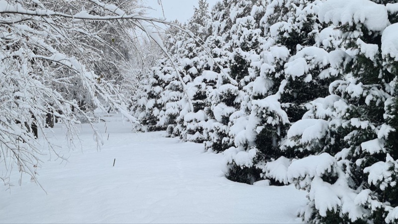 Алматы алматы