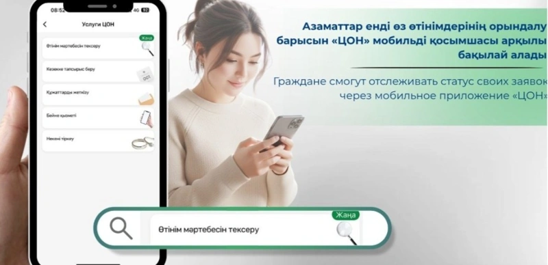 Правительство для граждан, ЦОН