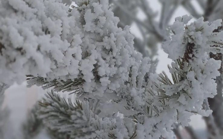 Еліміздің басым бөлігінде қар жауады — Қазгидромет