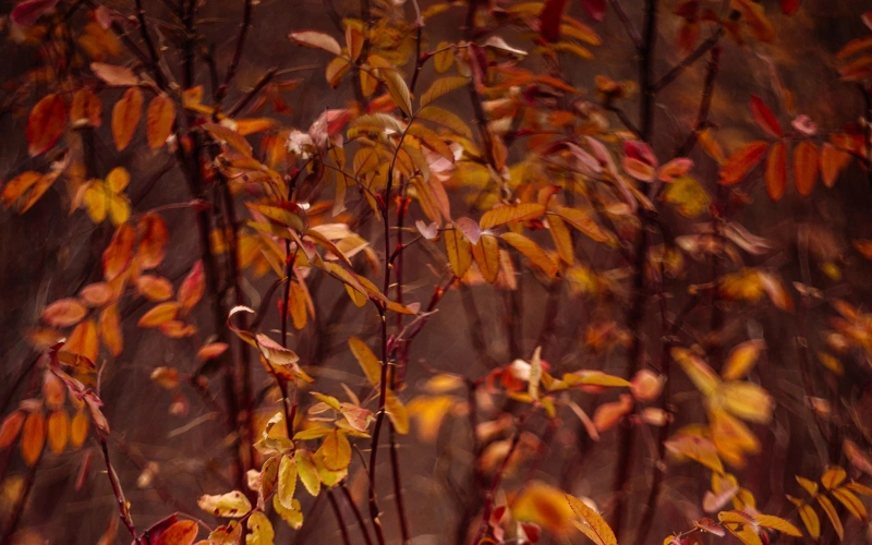 В 12 регионах Казахстана объявили штормовое предупреждение на 7 ноября