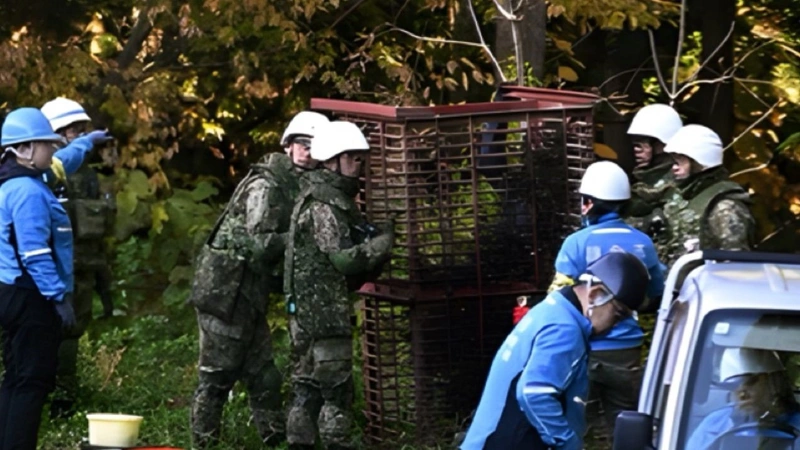 Self-Defense Force joins battle against deadly bear attacks in Japan