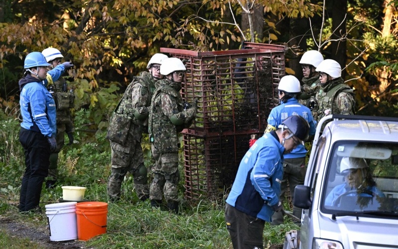 Жапония әскері аюлармен күресуге көмектесіп жатыр Жапония әскері аюлармен күресуге көмектесіп жатыр