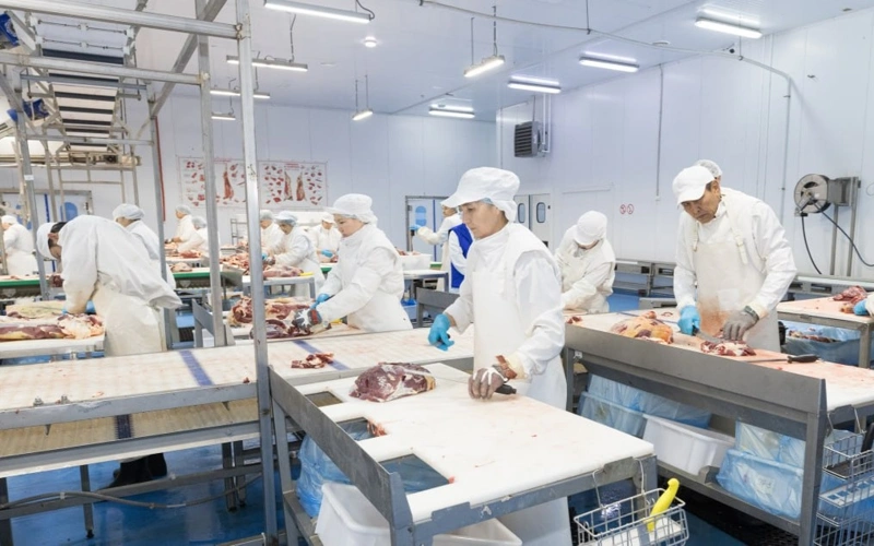 ЗКО занимает первое место в стране по поголовью КРС мясного направления