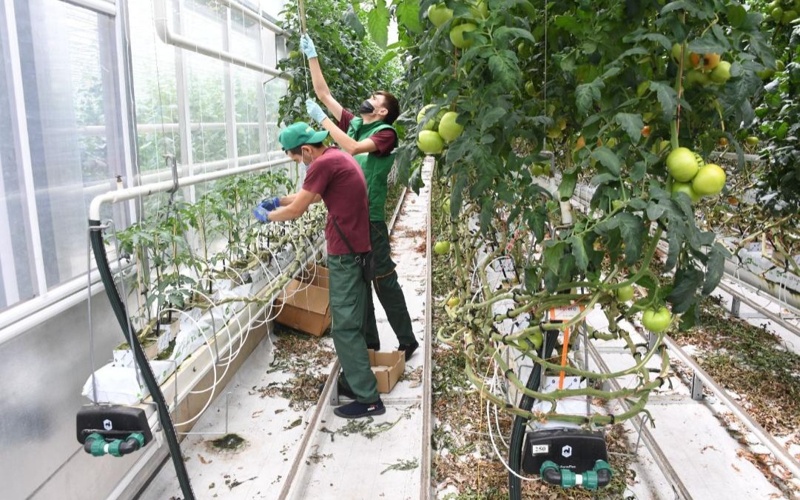 В Ауэзовском районе Алматы отмечается стабильное социально-экономическое развитие В Ауэзовском районе Алматы отмечается стабильное социально-экономическое развитие