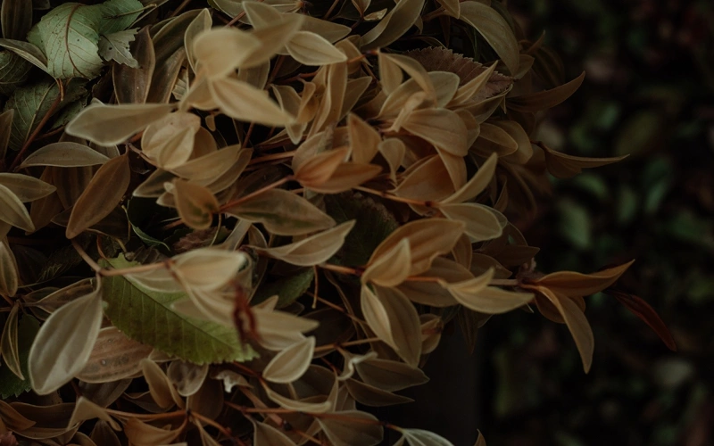 Штормовое предупреждение объявили в большинстве регионов Казахстана
