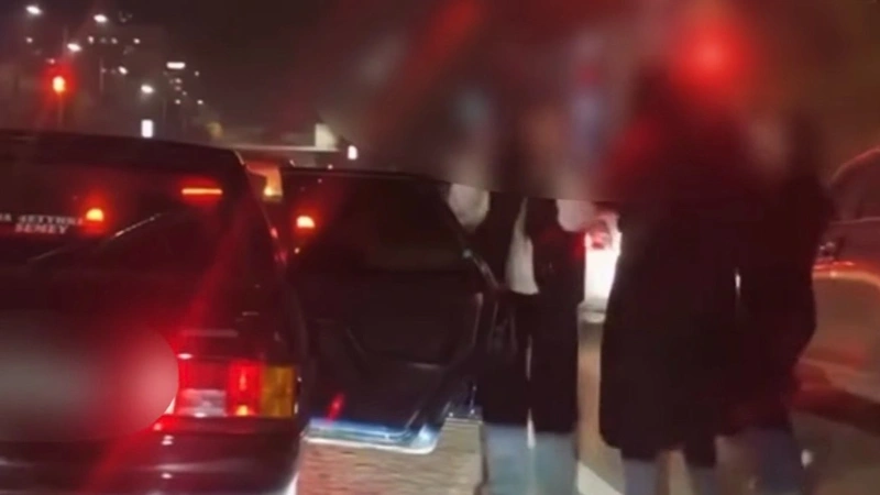 За танцы возле светофора наказали водителя с пассажирами в области Абай