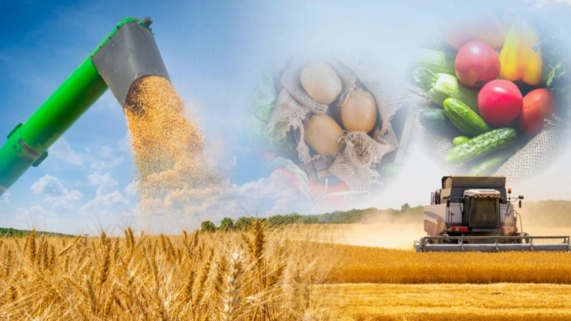 қишлоқ хўжалиги