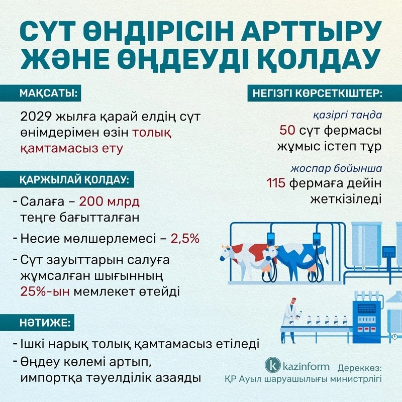 инфографика