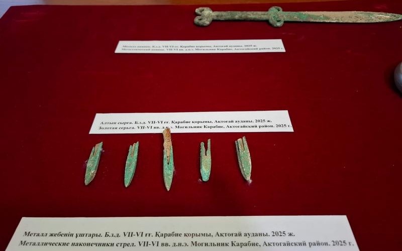 Қарағандылық археологтар сақ жауынгерінің бүтін сақталған жерлеу орнын тапты Қарағандылық археологтар сақ жауынгерінің бүтін сақталған жерлеу орнын тапты