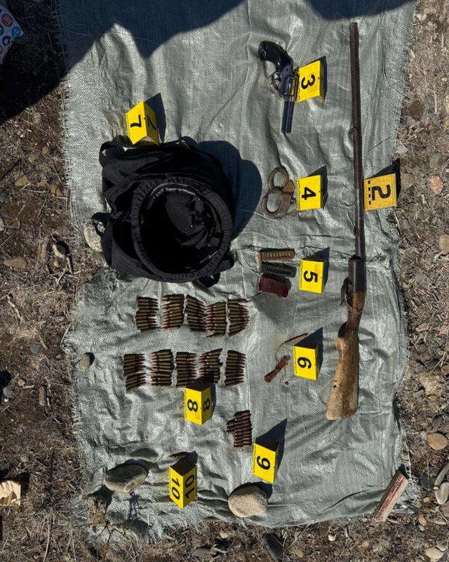 Елде арнайы операция кезінде 40 қару мен 800 оқ-дәрі тәркіленді 