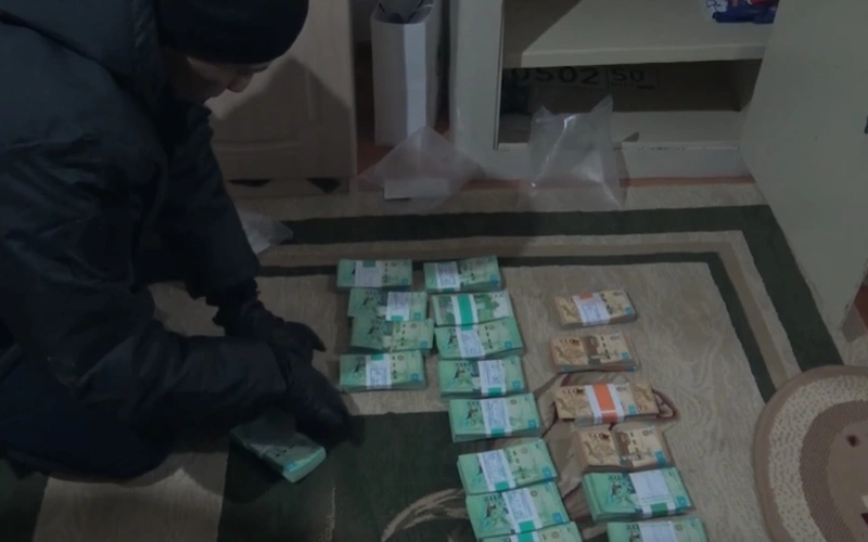 Экспорт 75 тонн судака в ЕС: руководство «СПК Кызылорда Балык» признано виновным