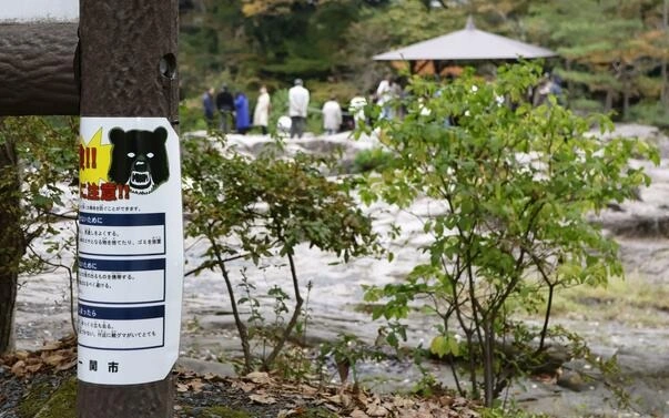5 hurt in bear attacks in 3 Japan prefectures
