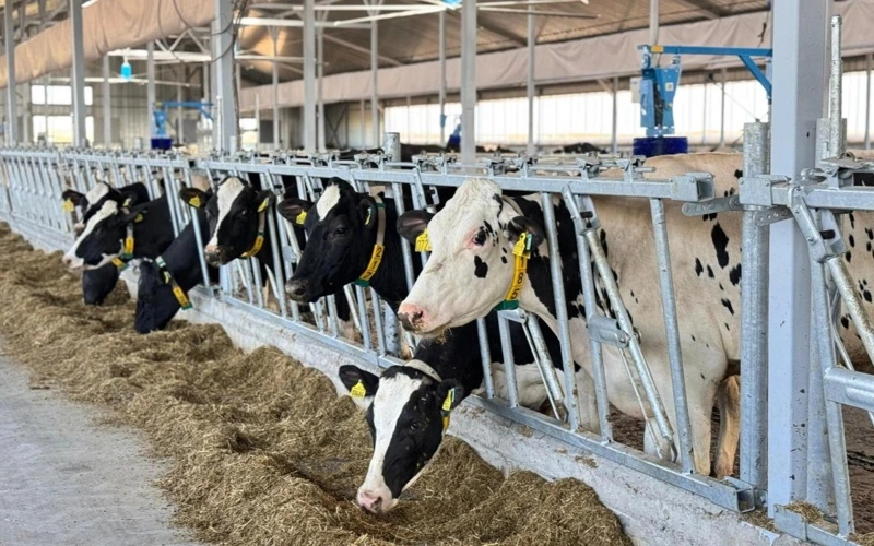 Agricultural output rises in Kazakhstan in Q3 