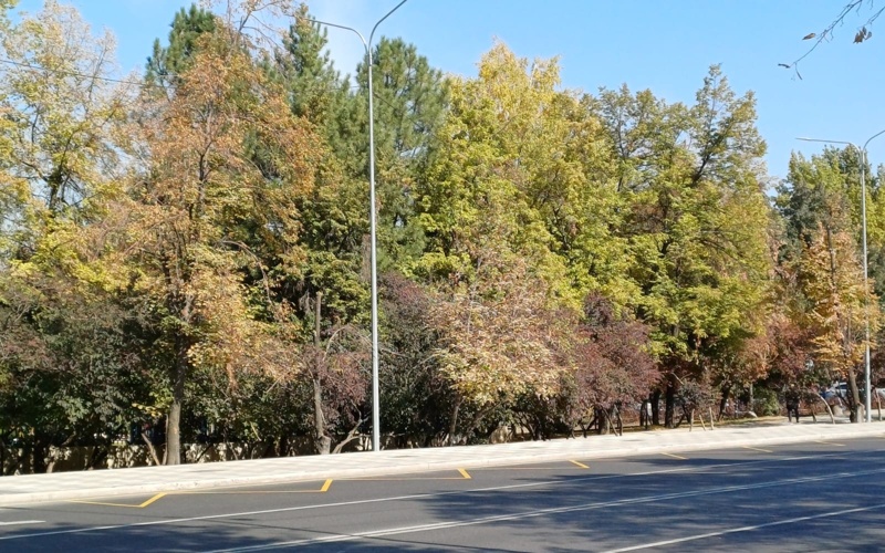 Новые автобусные маршруты в обе стороны запустят по улице Желтоксан в Алматы