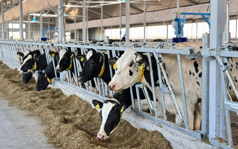 Рост валовой сельхозпродукции вырос в Казахстане на 5,4%