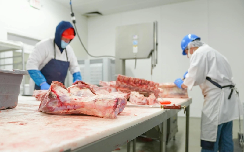 Крупный мясокомбинат запустят в области Абай в 2026 году