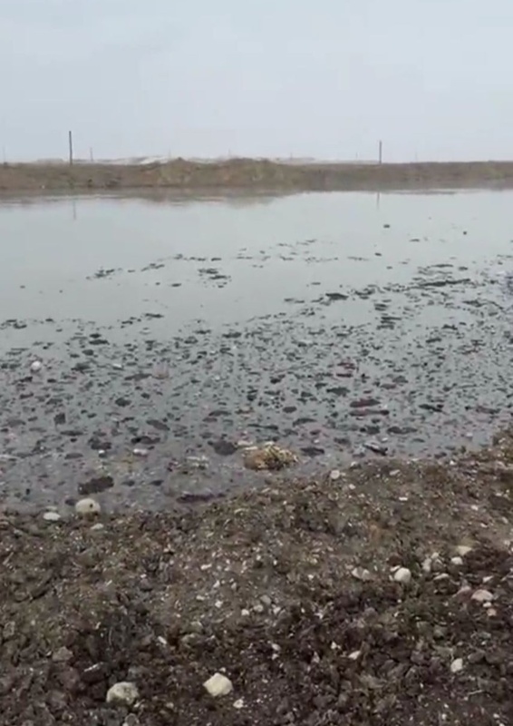 Жители жалуются на зловонные отходы возле сахарного завода в Жетысу