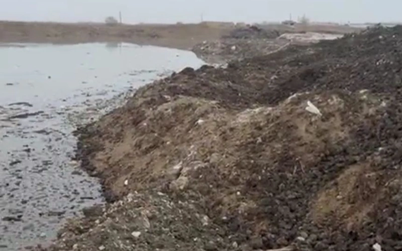 Жители жалуются на зловонные отходы возле сахарного завода в Жетысу