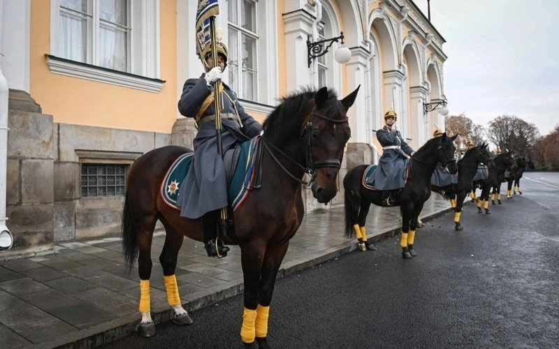 Президент, қарсы алу