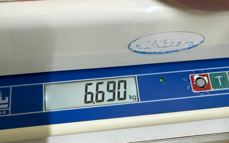 салмақ салмақ