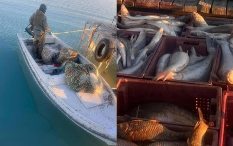 браконьеры рыбы 